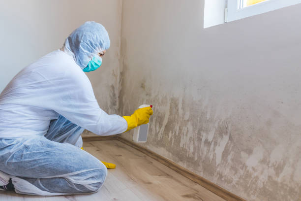 Licensed Commercial Mold Remediation service in Howell, MI - WQB Mold Removal