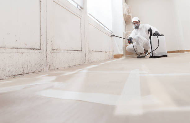 24/7 Emergency Commercial Mold Remediation experts in Howell, MI