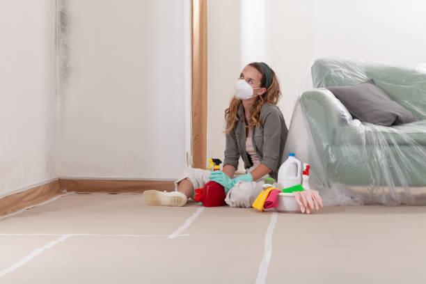 Reliable Commercial Mold Remediation contractor in Howell, MI by WQB Mold Removal