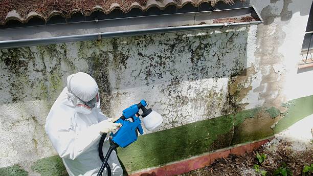Top rated local Commercial Mold Remediation specialists in Howell, MI